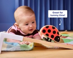 Lovevery Looker (Ladybug Included!) Complete New Newborn Play Kit Viral