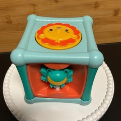 Fisher Price Animal Activity Cube Ages 6-36 Months Fun Exploration Toy