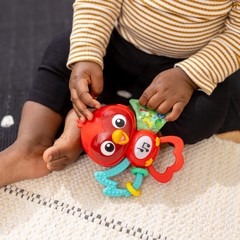 Baby Einstein Roxys Bright 5.18 x 5.29 x 2.14 inches, Flight