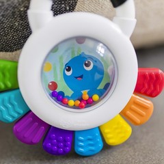Baby Einstein Outstanding Opus The 1 Count (Pack of 1), Rattle & Teether