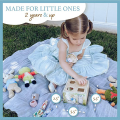 KIDS PREFERRED Beatrix Potter Peter Rabbit Wooden Shape Sorter for Toddlers, Inc