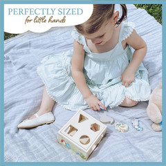 KIDS PREFERRED Beatrix Potter Peter Rabbit Wooden Shape Sorter for Toddlers, Inc