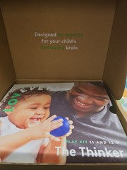 *NEW IN BOX* Lovevery The Thinker Complete Play Kit For 11-12 Months